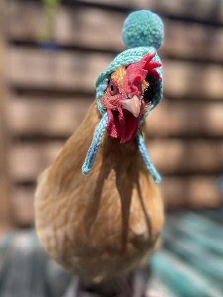 KittyBea Handmade Knitted Chicken Hat