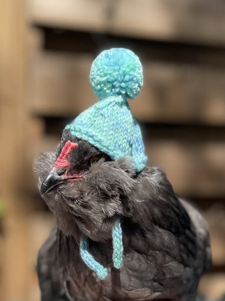 KittyBea Handmade Knitted Chicken Hat