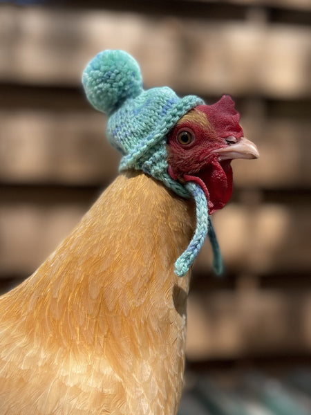 KittyBea Handmade Knitted Chicken Hat