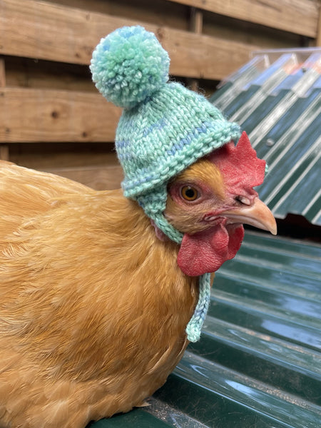 KittyBea Handmade Knitted Chicken Hat