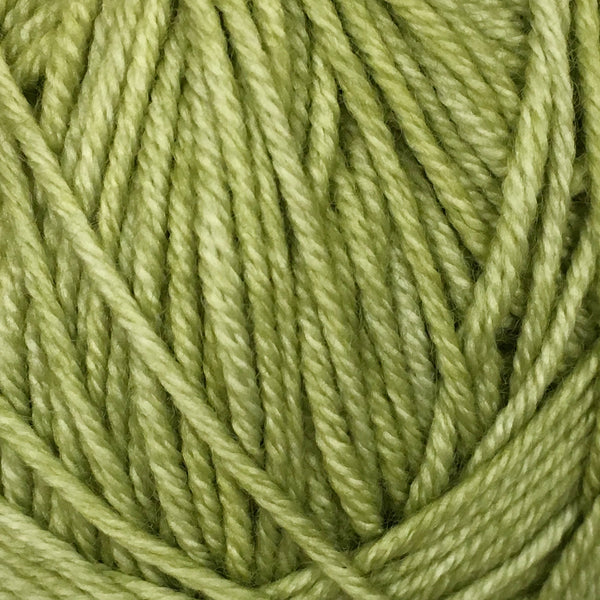 Turtle: Superwash Merino Wool 8 Ply Worsted Yarn | Hand-Dyed Skeins