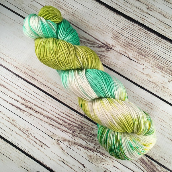 Palm Avenue Lido Superwash Merino Nylon Yarn Hand-Dyed by Kitty Bea Knitting